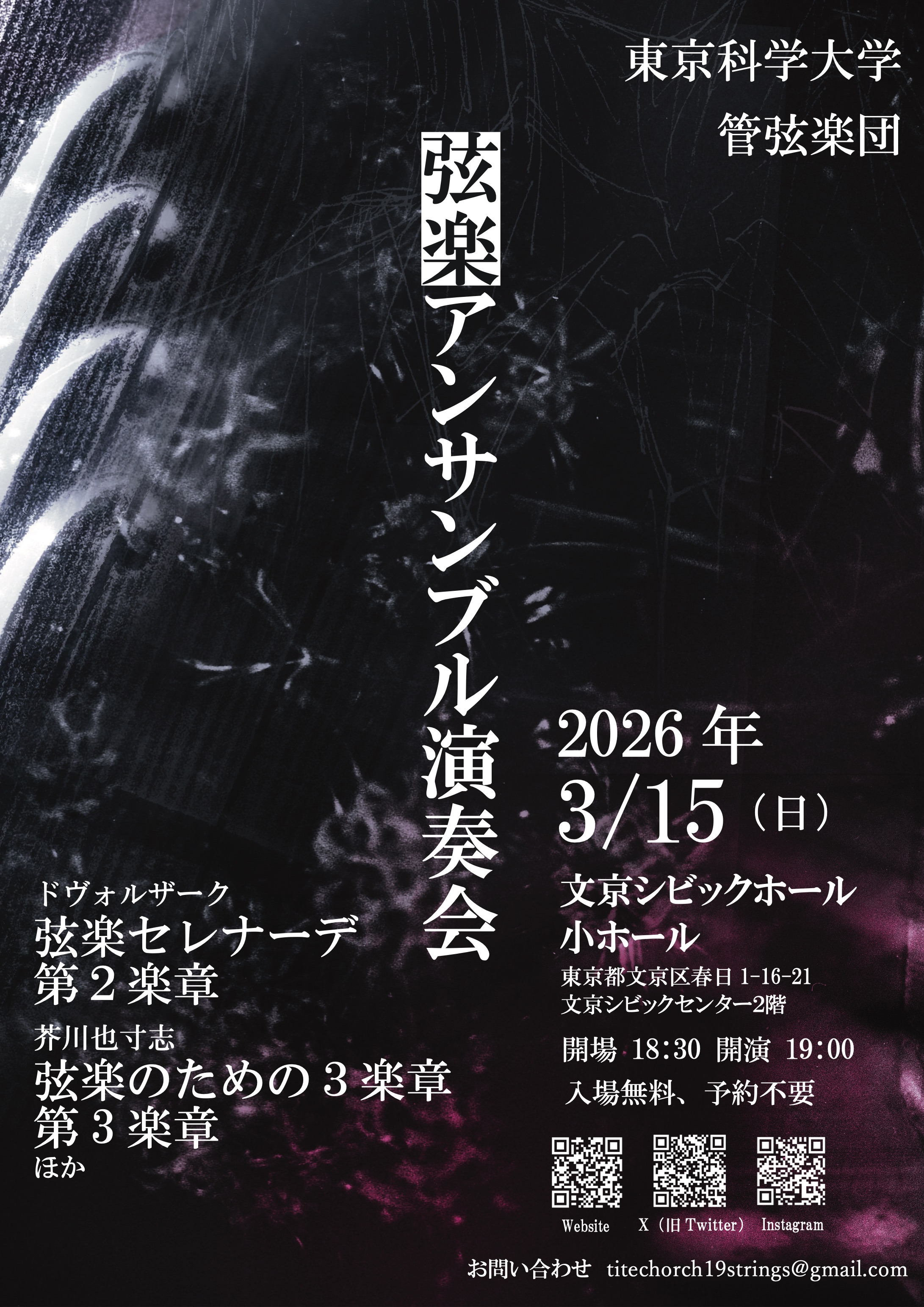 弦楽アンサンブル演奏会 2026 ポスター